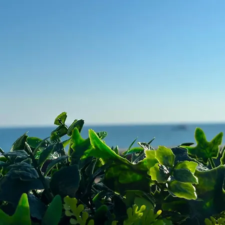 Mare Di Roma 2 *